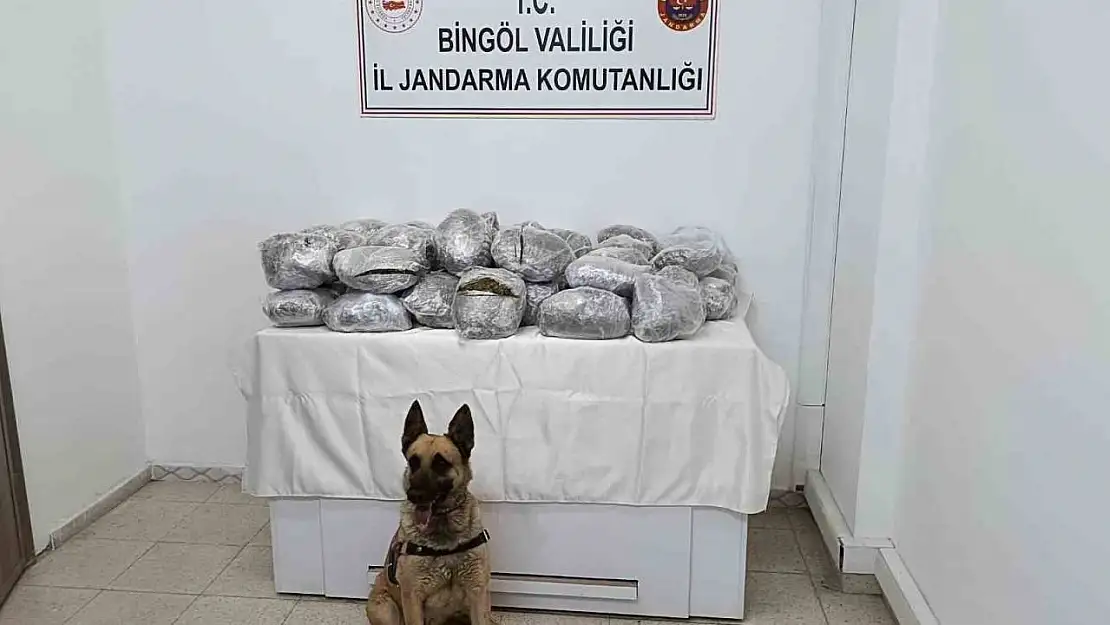 Bingöl'de 49 kilo esrar ele geçirildi