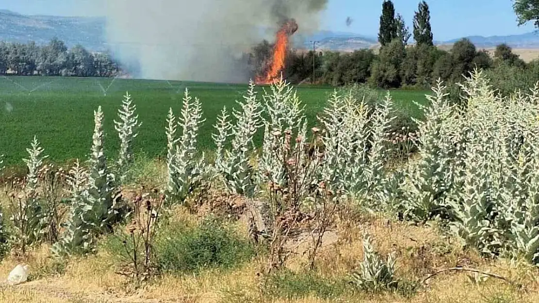 Bingöl'de ağaçlık alanda korkutan yangın