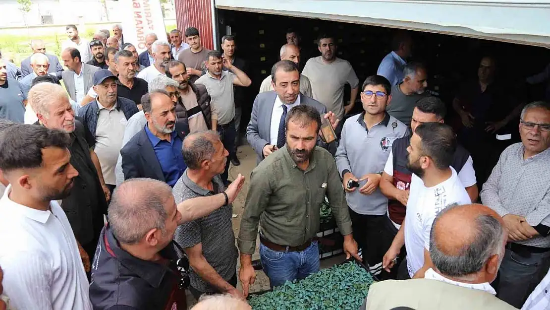 Bingöl'de üreticilere 442 bin sebze fidesi dağıtıldı