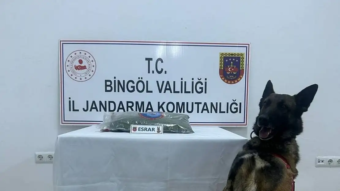 Bingöl'de uyuşturucu madde ele geçirildi, aranan 8 şüpheli yakalandı