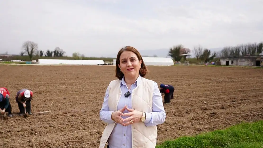 Düzce Belediyesi, ata tohumu yetiştiriciliği projesine başlıyor