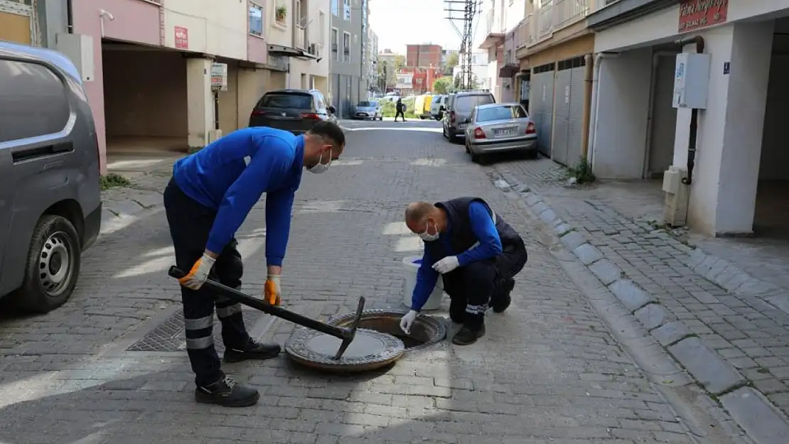 Efeler Belediyesi halk sağlığını koruyor