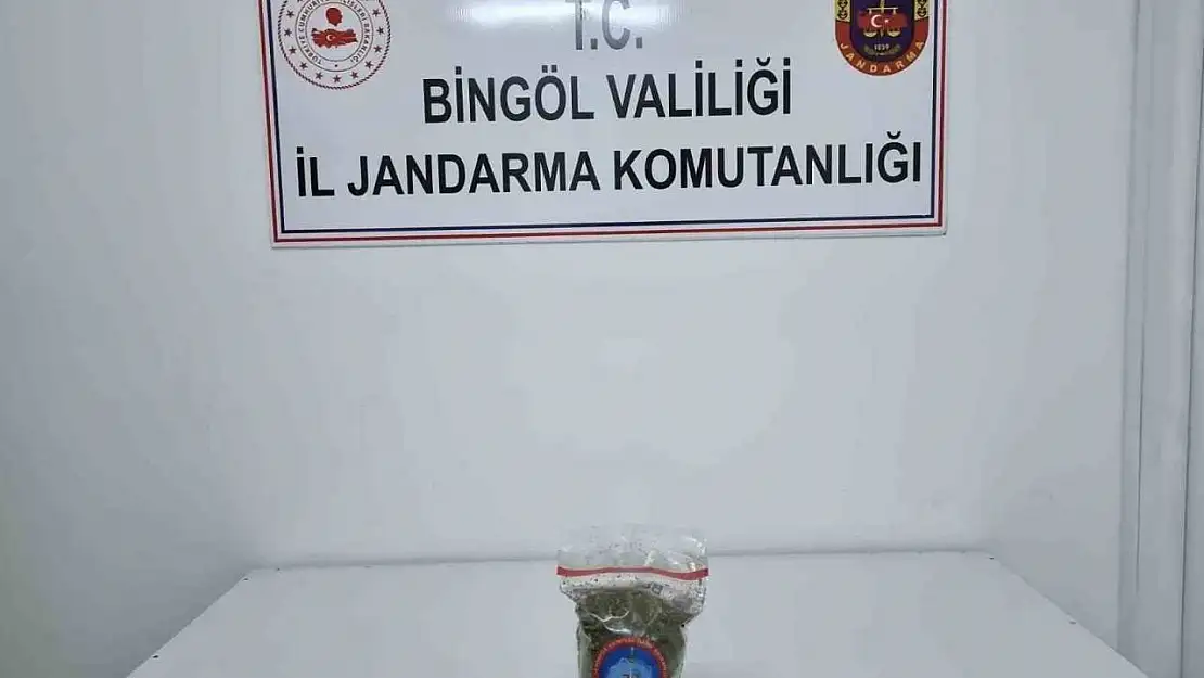 Genç'te uyuşturucu operasyonu