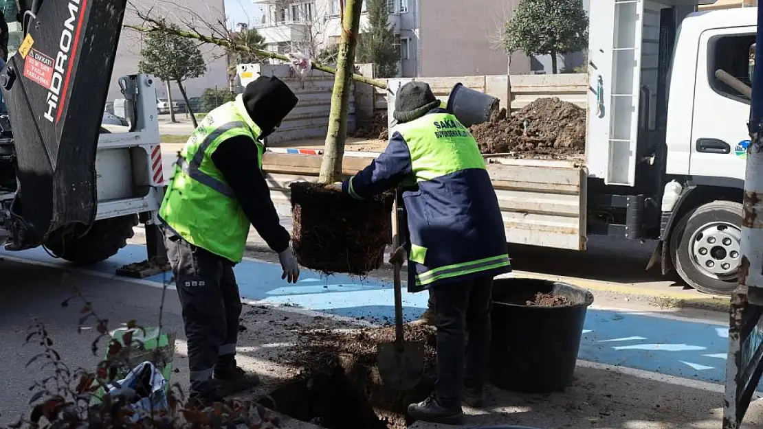 Sakarya'ya estetik dokunuş