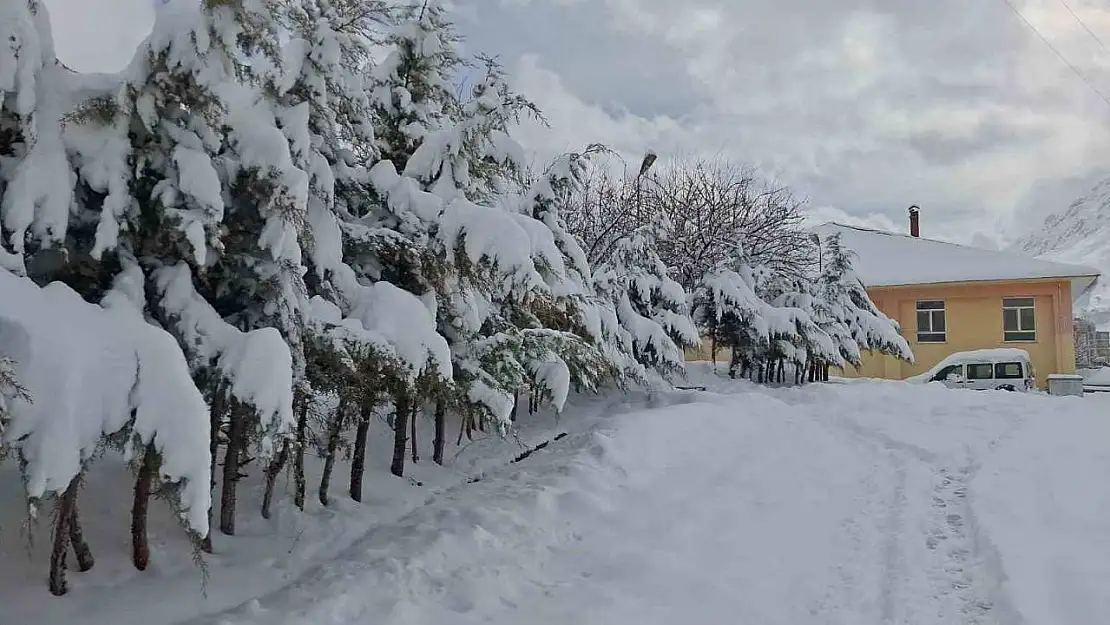 Tunceli'de kar yağışı hayatı olumsuz etkiliyor