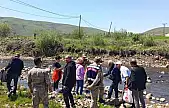 Karakoçan'da deredeki balık ölümleri için numuneler alındı