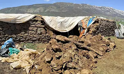 Bingöl'de fırtına ve sağanak nedeniyle ahır çöktü