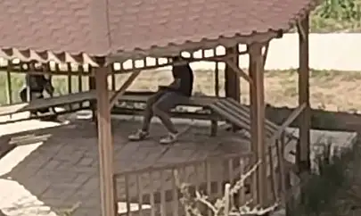 Elazığ'da kamelyalara zarar verdiler