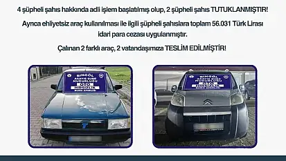 Bingöl'de oto hırsızlığı yapan 6 şüpheli yakalandı