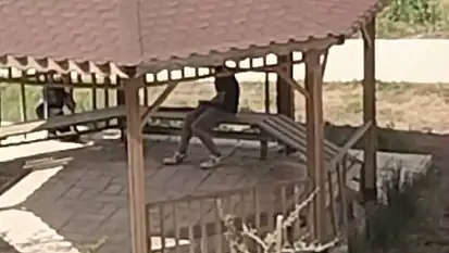Elazığ'da kamelyalara zarar verdiler