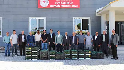 Genç'te üreticilere sebze fidesi dağıtıldı
