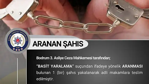Bingöl'de çeşitli suçlardan aranan 11 kişi yakalandı