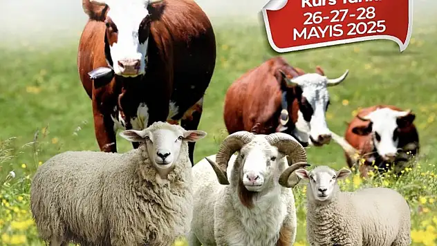 Malatya Büyükşehir Belediyesi'nden kurban kesim kursu