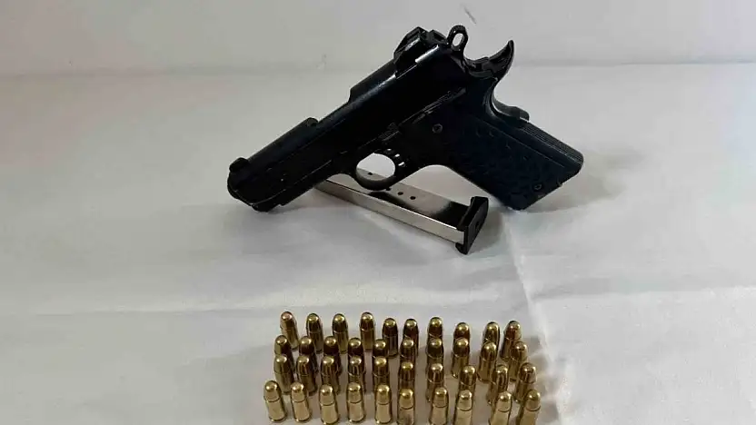 Bingöl'de ruhsatsız silah operasyonu