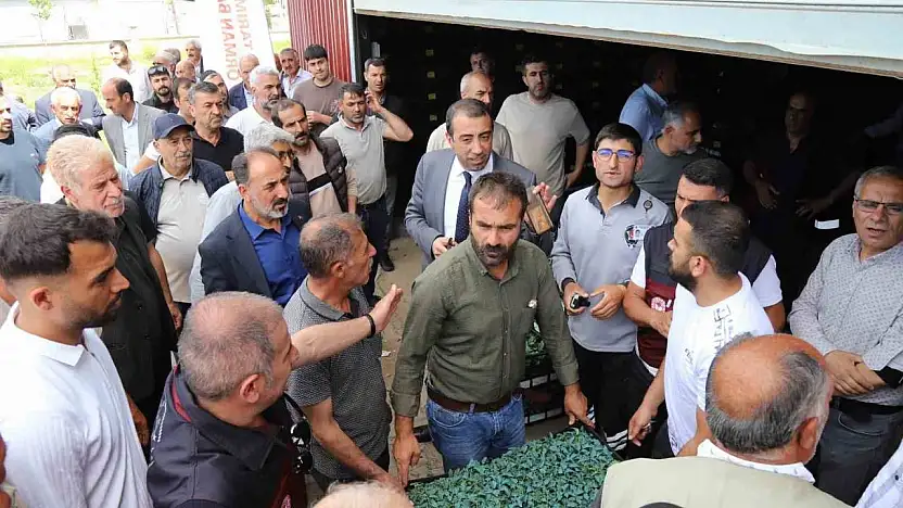 Bingöl'de üreticilere 442 bin sebze fidesi dağıtıldı