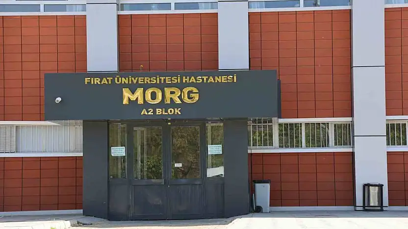 Elazığ'da uçurumdan düşen genç hayatını kaybetti