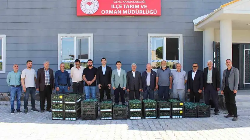 Genç'te üreticilere sebze fidesi dağıtıldı