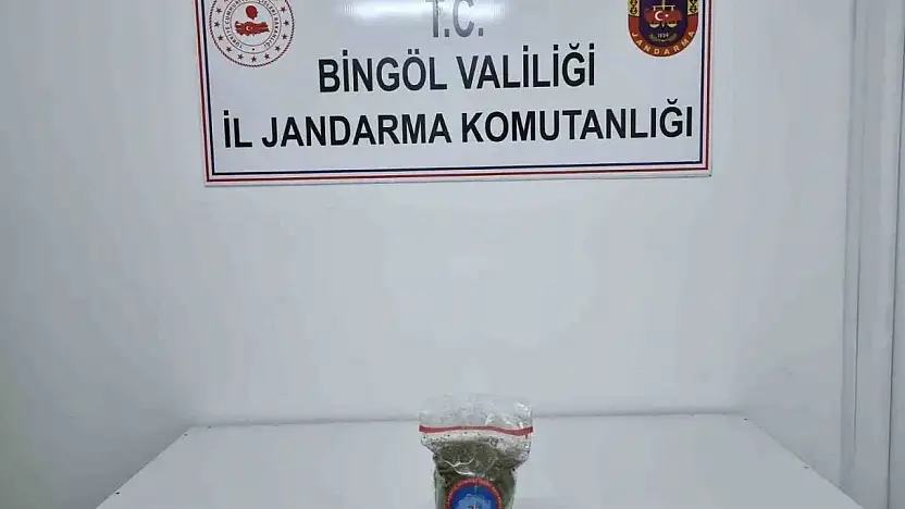 Genç'te uyuşturucu operasyonu