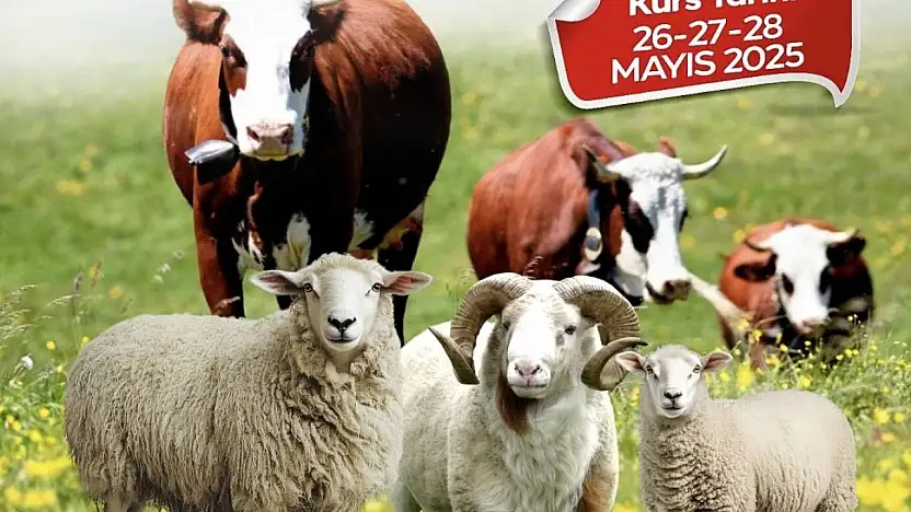 Malatya Büyükşehir Belediyesi'nden kurban kesim kursu