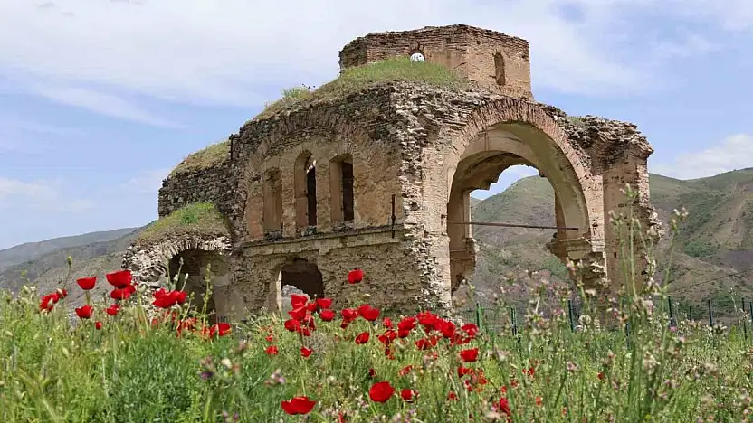 Palu'daki tarihi yapılar fotoğraf karelerine yansıdı